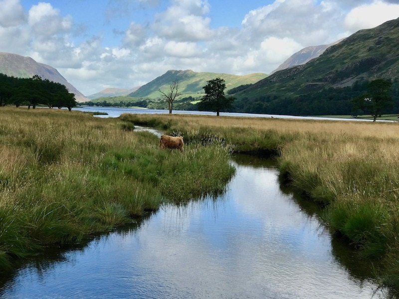 1. River Cocker, Lake District