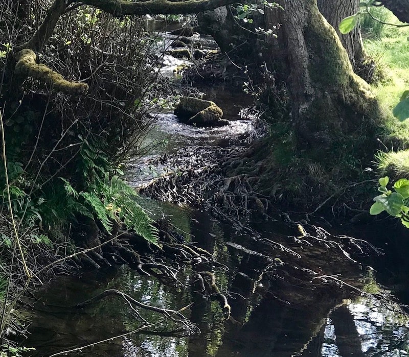 6. Stream Abney Clough, Derbyshire